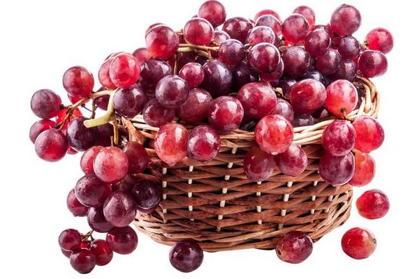 孕婦可以吃提子嗎 吃提子會胖嗎