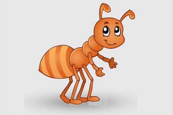 夢(mèng)見螞蟻是什么意思 夢(mèng)到螞蟻成群爬到自己身上有什么預(yù)兆