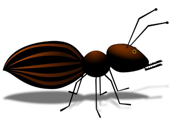 夢(mèng)見螞蟻是什么意思 夢(mèng)到螞蟻成群爬到自己身上有什么預(yù)兆