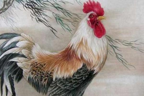 屬雞的本命佛是什么 屬雞吉祥物是什么