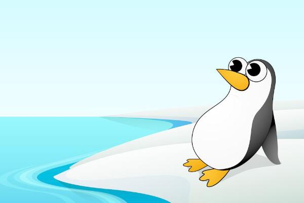 夢見企鵝是什么意思 女人夢見企鵝在水里有什么預兆