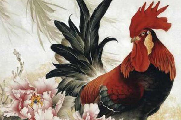 屬雞的和什么屬相最配（男、女） 屬雞的幾月出生最好