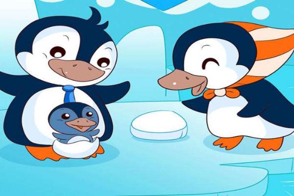 夢見企鵝是什么意思 女人夢見企鵝在水里有什么預兆