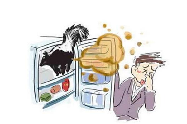 夢見冰箱是什么意思 夢到冰箱里裝滿了東西有什么預兆