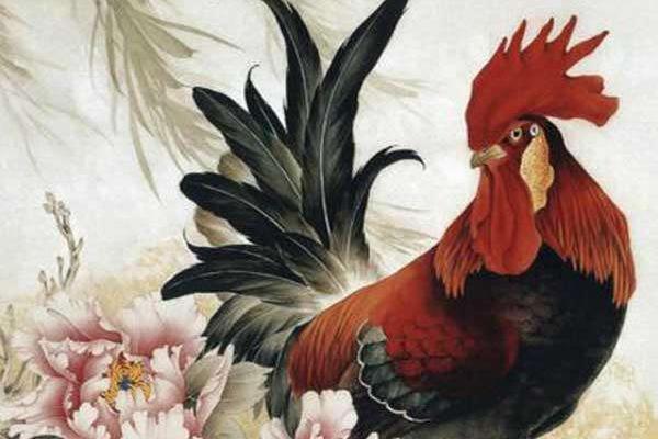 屬雞的今年多大（2018年） 屬雞今年運勢如何（財運、姻緣）