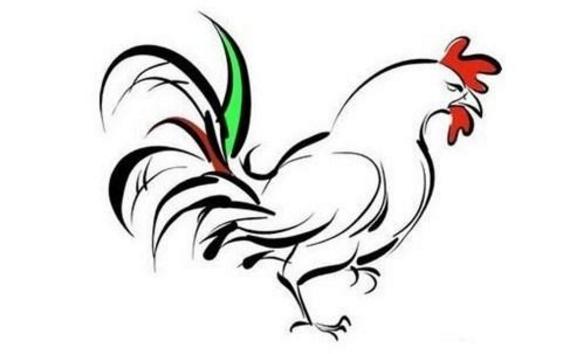 屬雞的今年多大（2018年） 屬雞今年運勢如何（財運、姻緣）