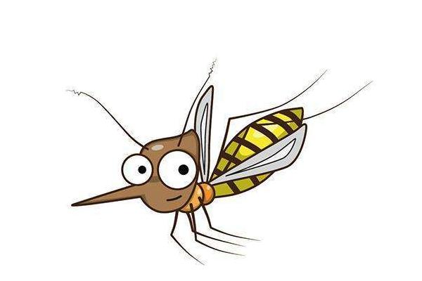 夢見蚊子是什么意思 夢到很多蚊子密密麻麻咬自己有什么預(yù)兆