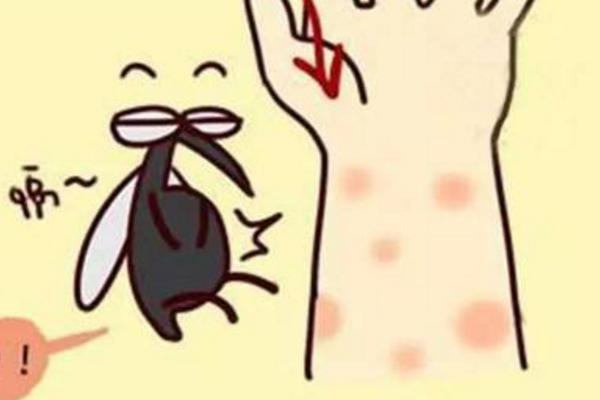 夢見蚊子是什么意思 夢到很多蚊子密密麻麻咬自己有什么預兆