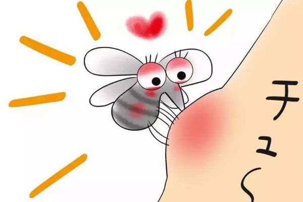 夢見蚊子是什么意思 夢到很多蚊子密密麻麻咬自己有什么預兆