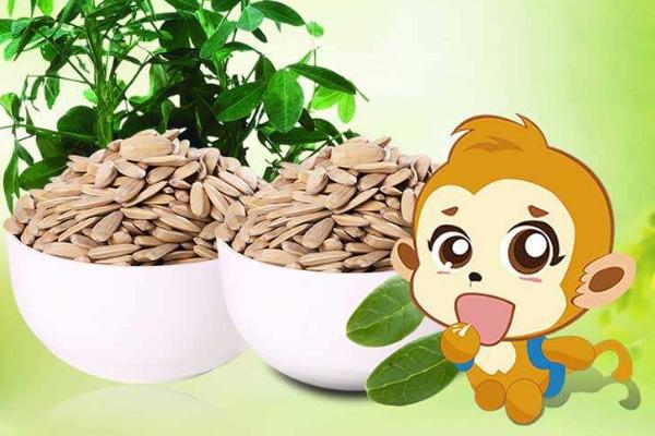 夢見瓜子是什么意思 女人夢到自己吃瓜子有什么預(yù)兆