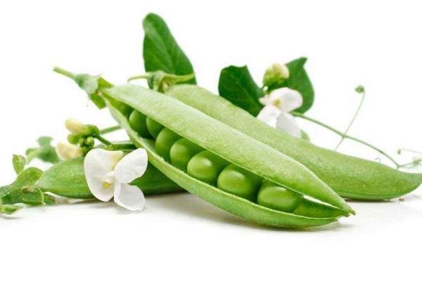 水煮豌豆要煮多久(幾分鐘) 水煮豌豆的做法