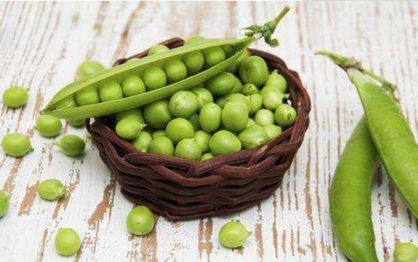 水煮豌豆要煮多久(幾分鐘) 水煮豌豆的做法