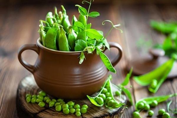 豌豆功效與作用及禁忌 豌豆營養價值