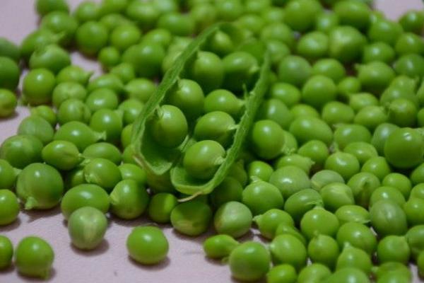 豌豆幾月份成熟 豌豆是什么季節(jié)的蔬菜