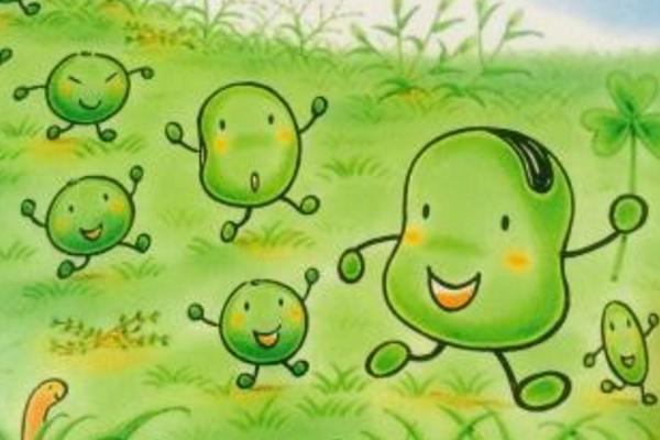 夢見蠶豆是什么意思 女人夢見摘蠶豆有什么預兆