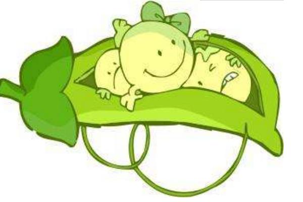 夢見蠶豆是什么意思 女人夢見摘蠶豆有什么預兆