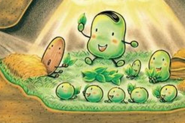 夢見蠶豆是什么意思 女人夢見摘蠶豆有什么預兆