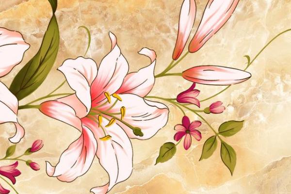 夢見百合花有什么意思 女人夢到百合花盛開有什么預兆