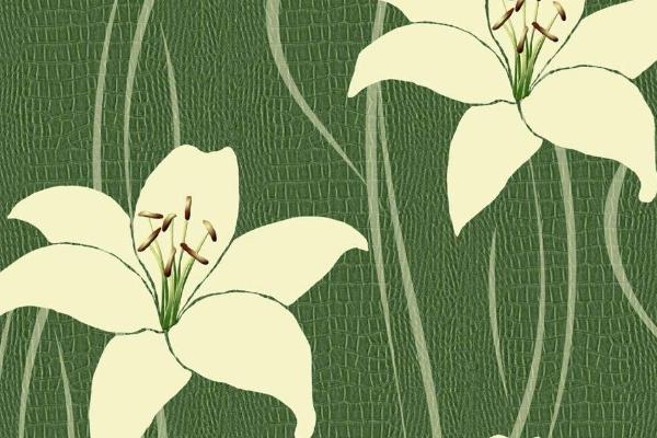 夢見百合花有什么意思 女人夢到百合花盛開有什么預兆