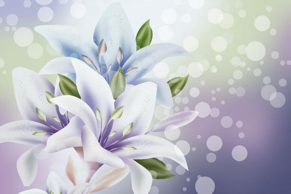 夢見百合花有什么意思 女人夢到百合花盛開有什么預兆