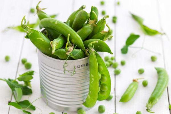 豌豆沒煮熟有毒嗎 豌豆屬于豆制品嗎