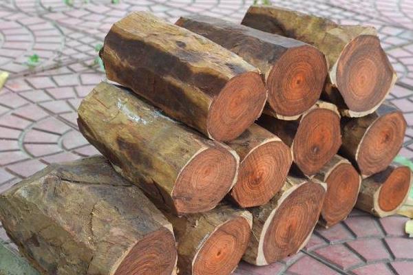 小葉紫檀哪里產的最好 小葉紫檀的產地有哪些