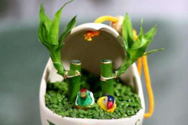 夜來香花有毒嗎 夜來香能放在室內臥室嗎