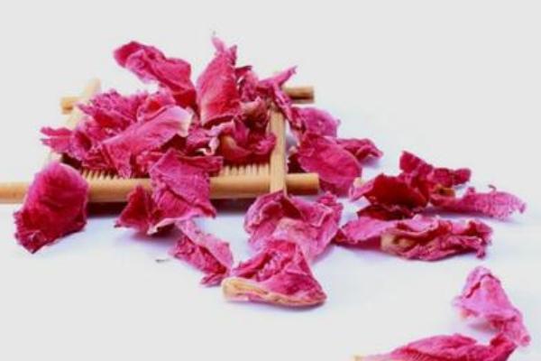 牡丹花功效與作用及禁忌 牡丹花藥用價值