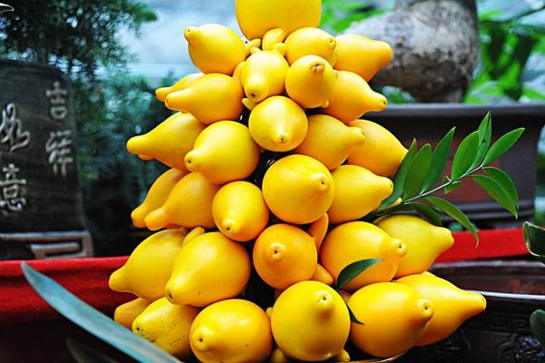黃金果市場價格多少錢一斤 黃金果是什么