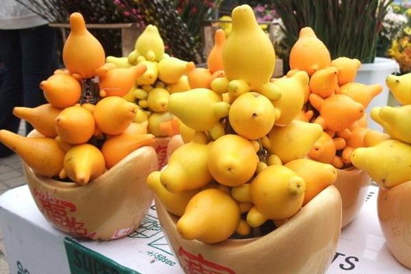 黃金果圖片大全 黃金果怎么吃