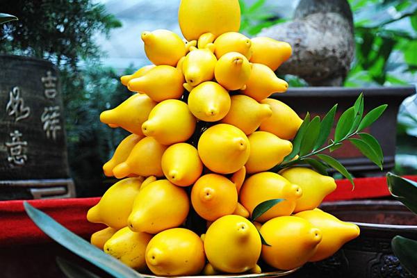 黃金果圖片大全 黃金果怎么吃