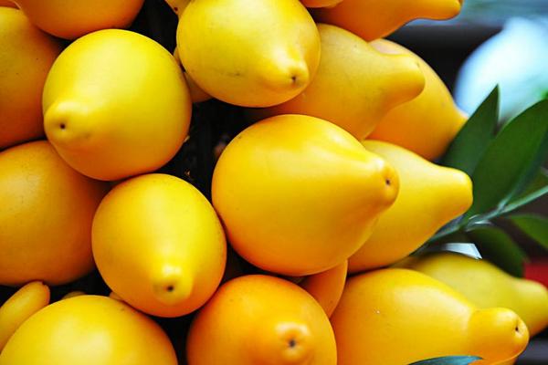 黃金果圖片大全 黃金果怎么吃