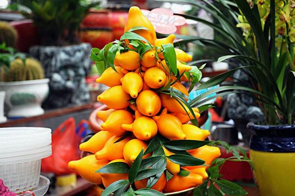 黃金果圖片大全 黃金果怎么吃