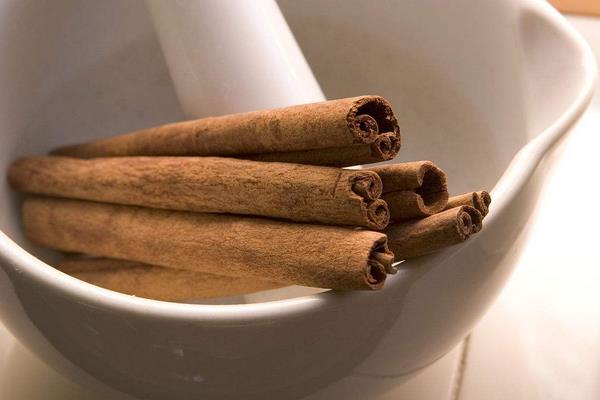 肉桂功效與作用及禁忌 肉桂藥用價值
