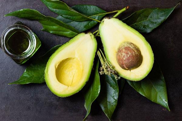 牛油果怎么種 牛油果種植方法與注意事項