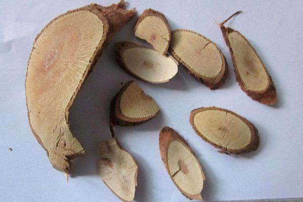 金櫻子根的功效與作用及禁忌 金櫻子根的藥用價值