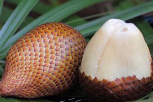 蛇皮果市場價格多少錢一斤 蛇皮果的食用方法