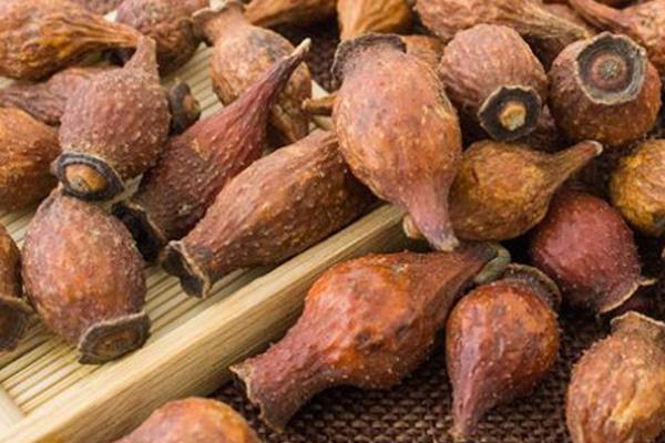 金櫻子的功效與作用及禁忌 金櫻子藥用價值