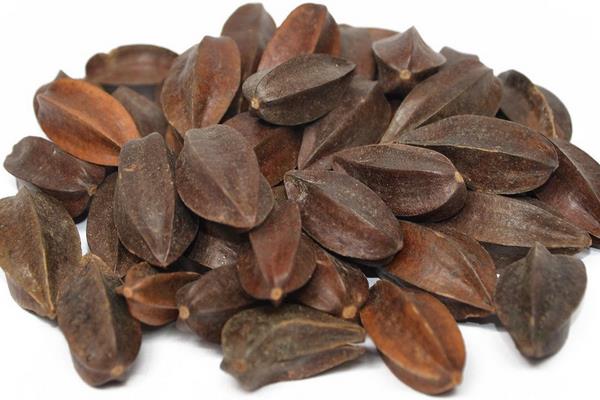 使君子市場(chǎng)價(jià)格多少錢一斤使君子種子怎么種