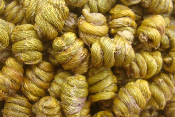 石斛蘭功效與作用 石斛蘭藥用價值