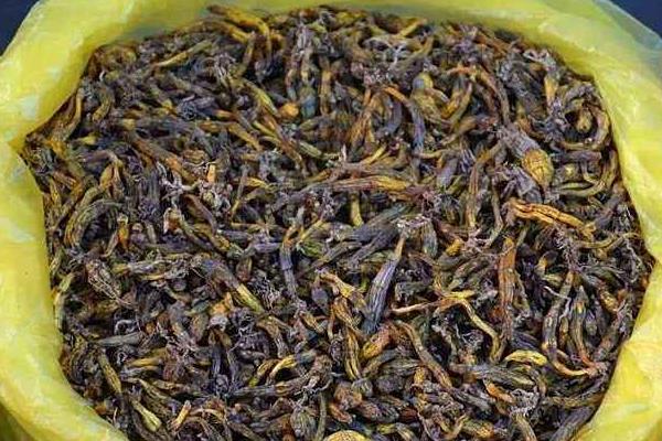 石斛蘭功效與作用 石斛蘭藥用價值