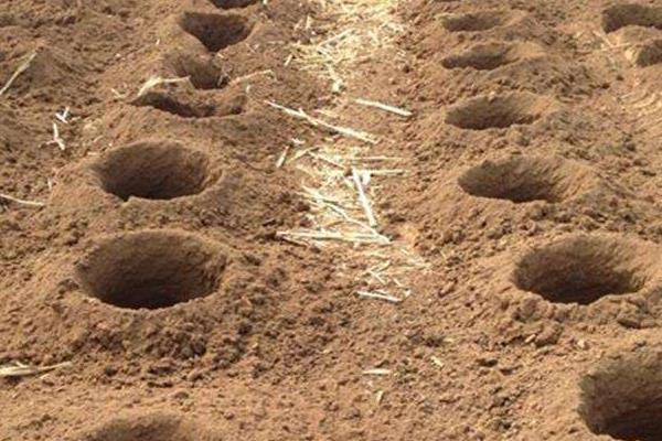 夢(mèng)見(jiàn)掉坑里了是什么意思 女人夢(mèng)到自己掉進(jìn)糞坑有什么預(yù)兆