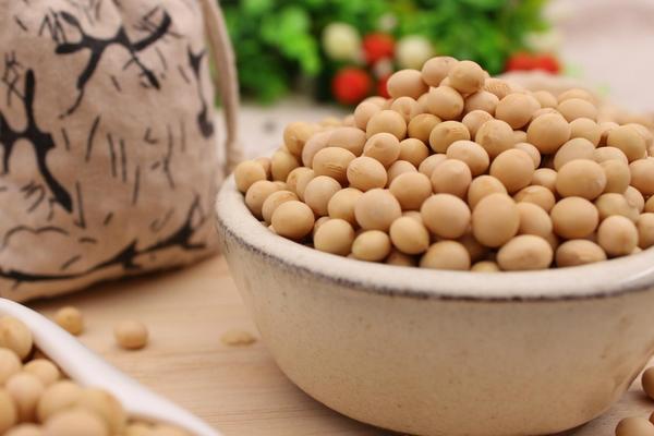 黃豆功效與作用及禁忌 黃豆營養價值