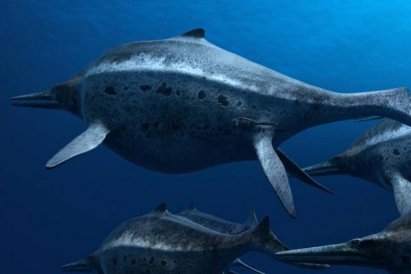 夢見大魚是什么意思 女人夢到一條特別大的魚有什么預兆