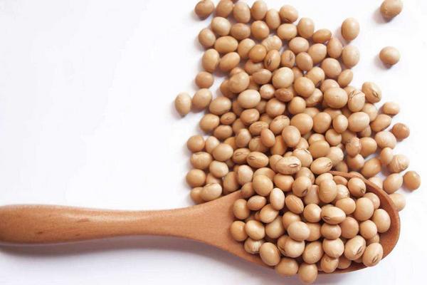 黃豆市場價格多少錢一斤 哪里產的黃豆最好