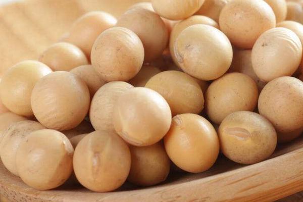 黃豆市場價格多少錢一斤 哪里產的黃豆最好