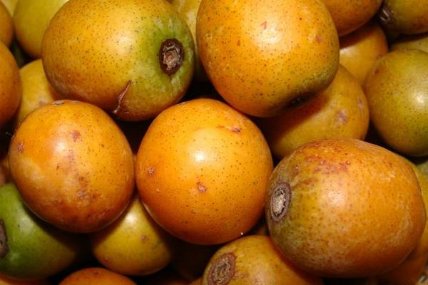 南酸棗市場價格多少錢一斤 南酸棗怎么吃