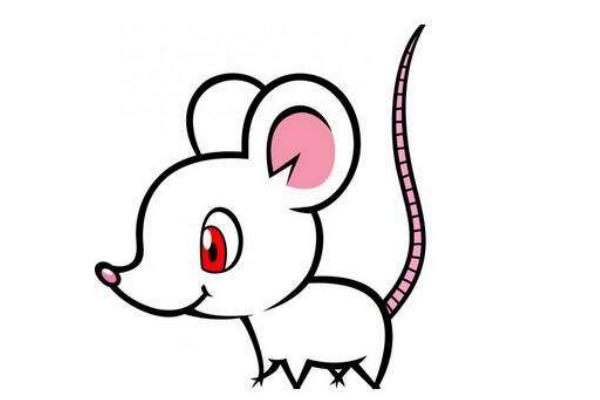 屬鼠的是什么性格 屬鼠的幸運數字是多少