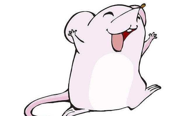 屬鼠的是什么性格 屬鼠的幸運數字是多少