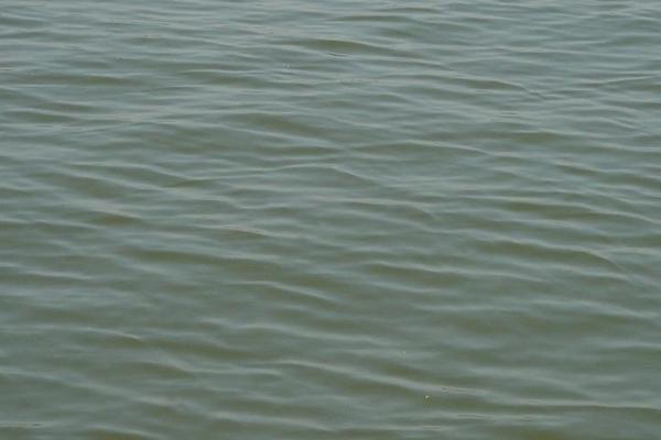 夢見河水干了是什么意思 女人夢到河里突然干涸見底有什么預兆